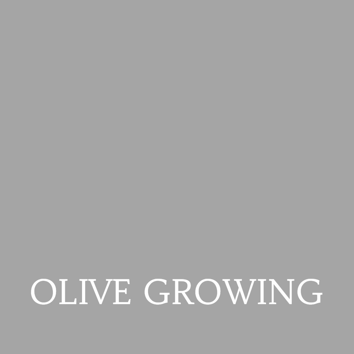 olivegrowing